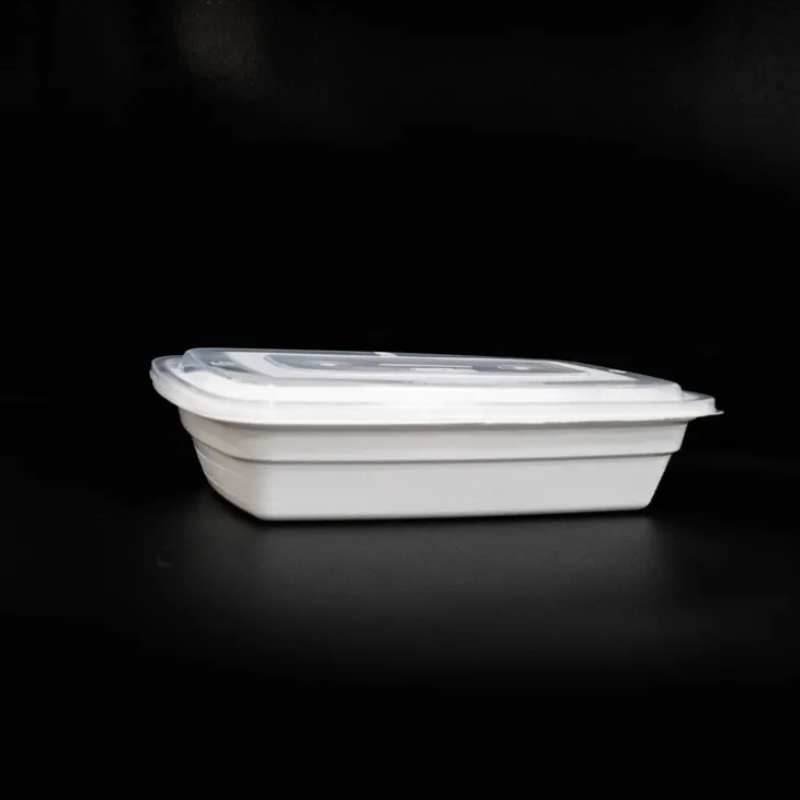 Disposable Lunch Boxes for Kids - Perfect for School Lunches (5)