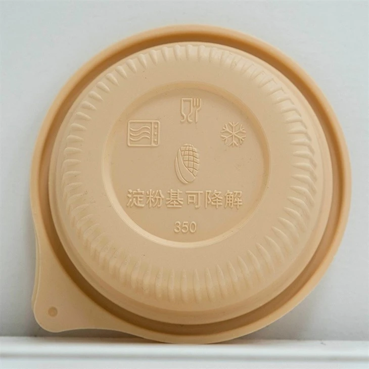 Eco-Friendly Biodegradable Bowls - Ideal for Everyday Use (2)